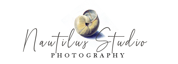 nautilus logo 2020