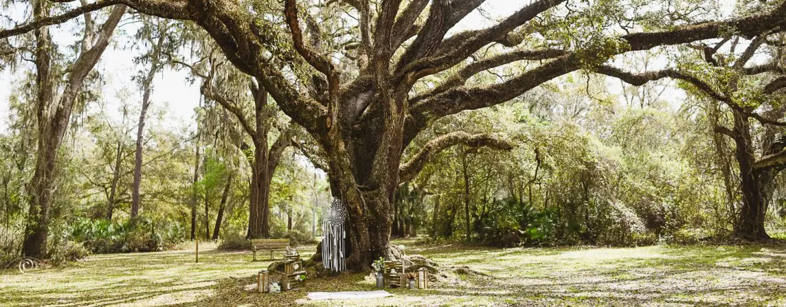 Hochzeit naturverbunden, Bild von einer indianisch inspirierten Dekoration mit riesigem Traumfänger