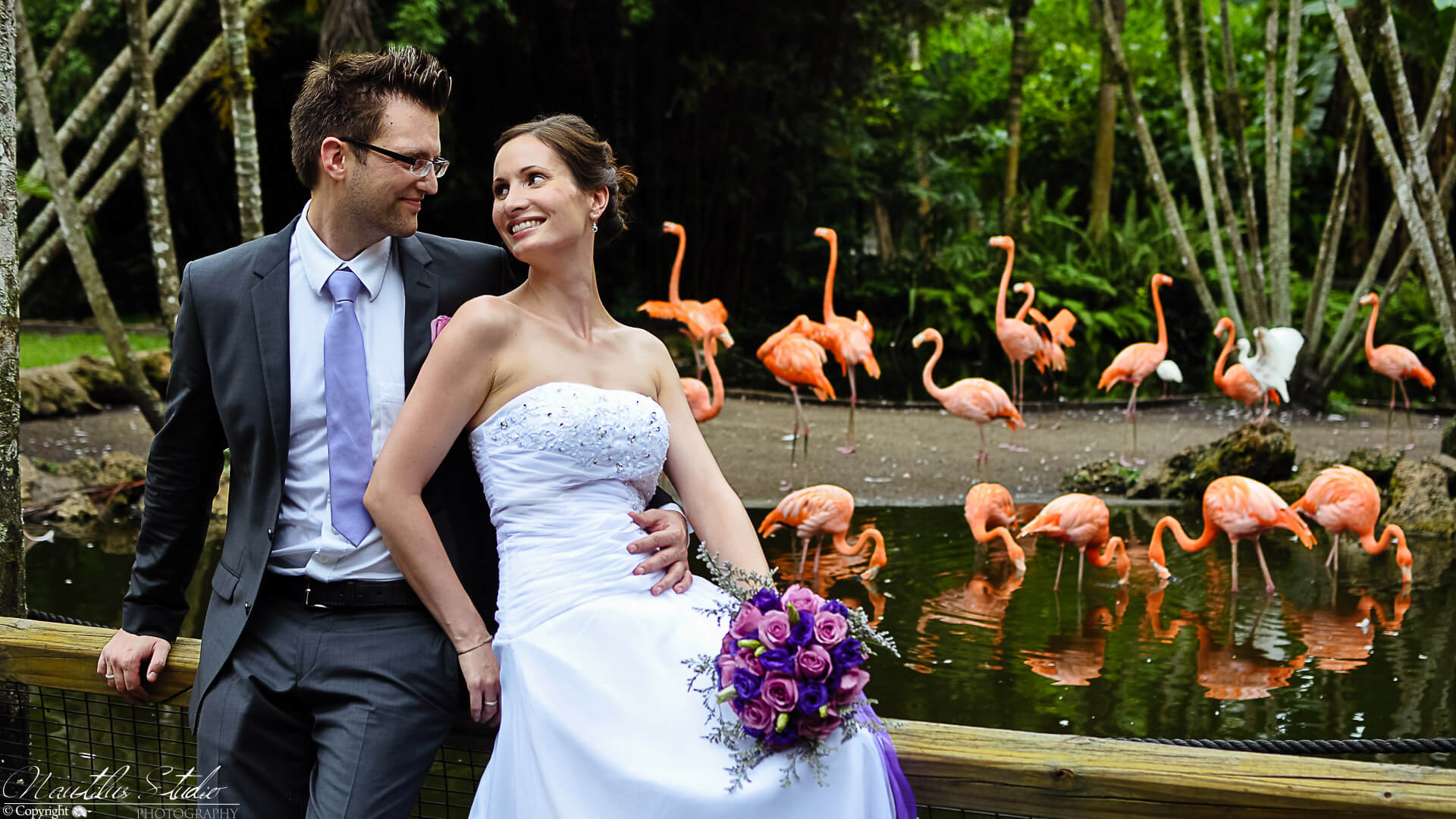 Heiraten in Miami, Foto vom Brautpaar mit Flamingos in Florida