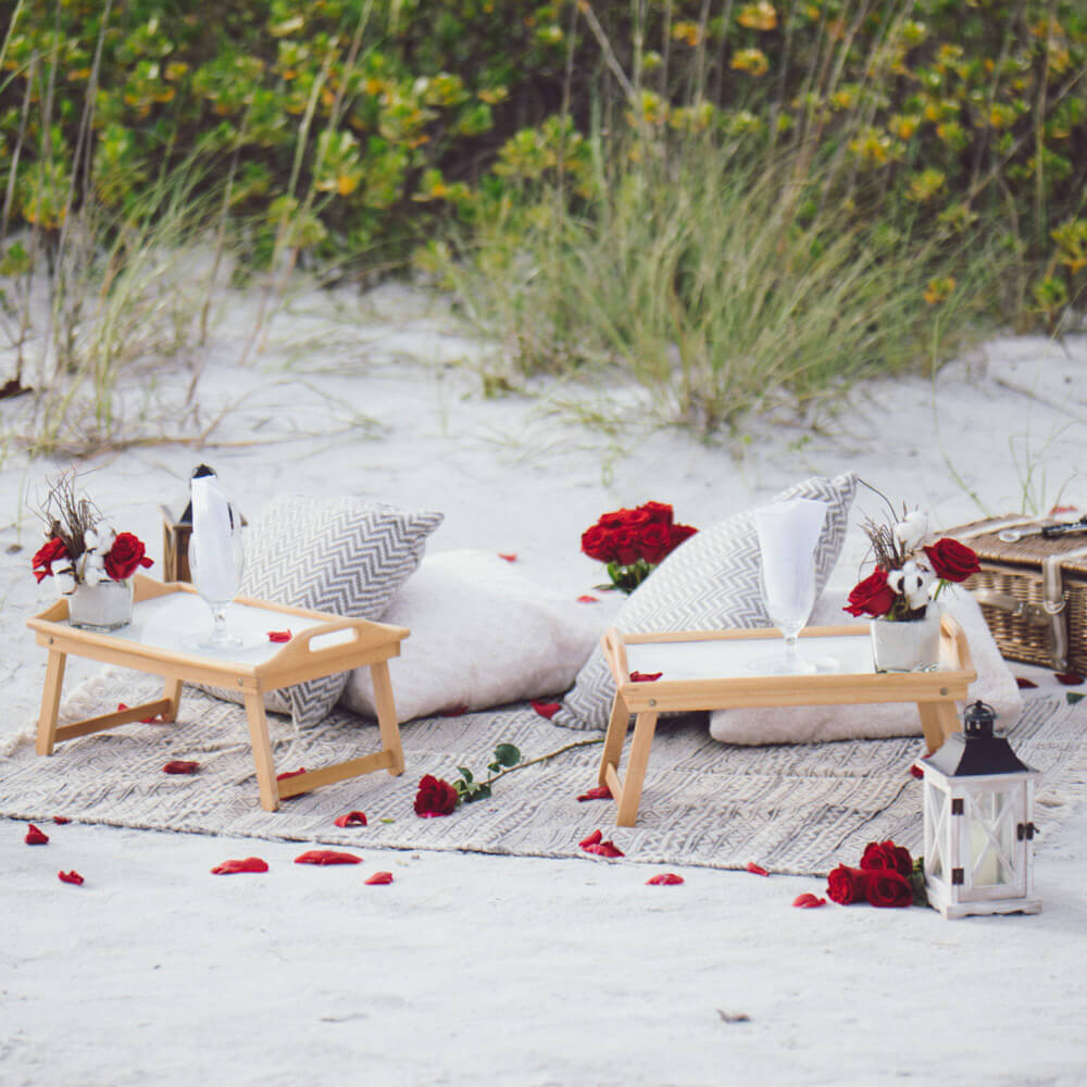 Foto zeigt ein Strandpicknick für einen Heiratsantrag in Florida